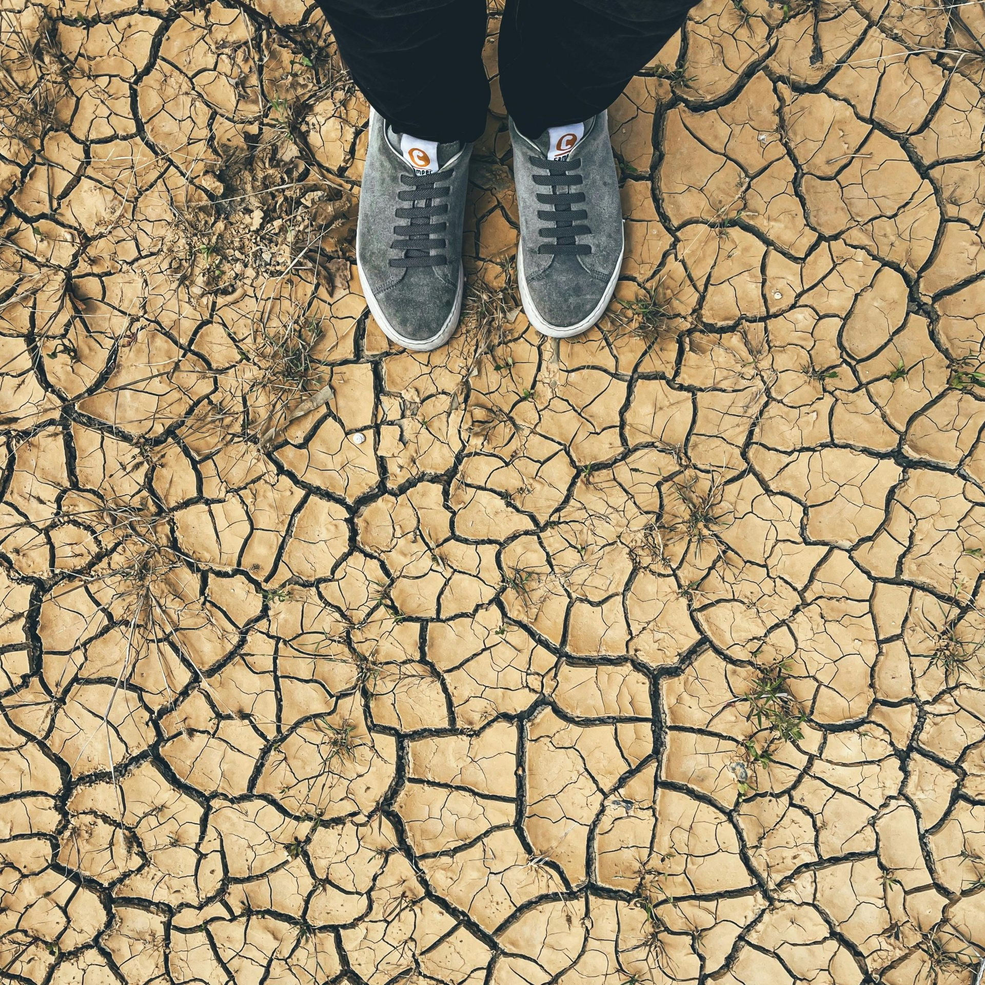 pexels-vedih-akbas-99816515-13252948