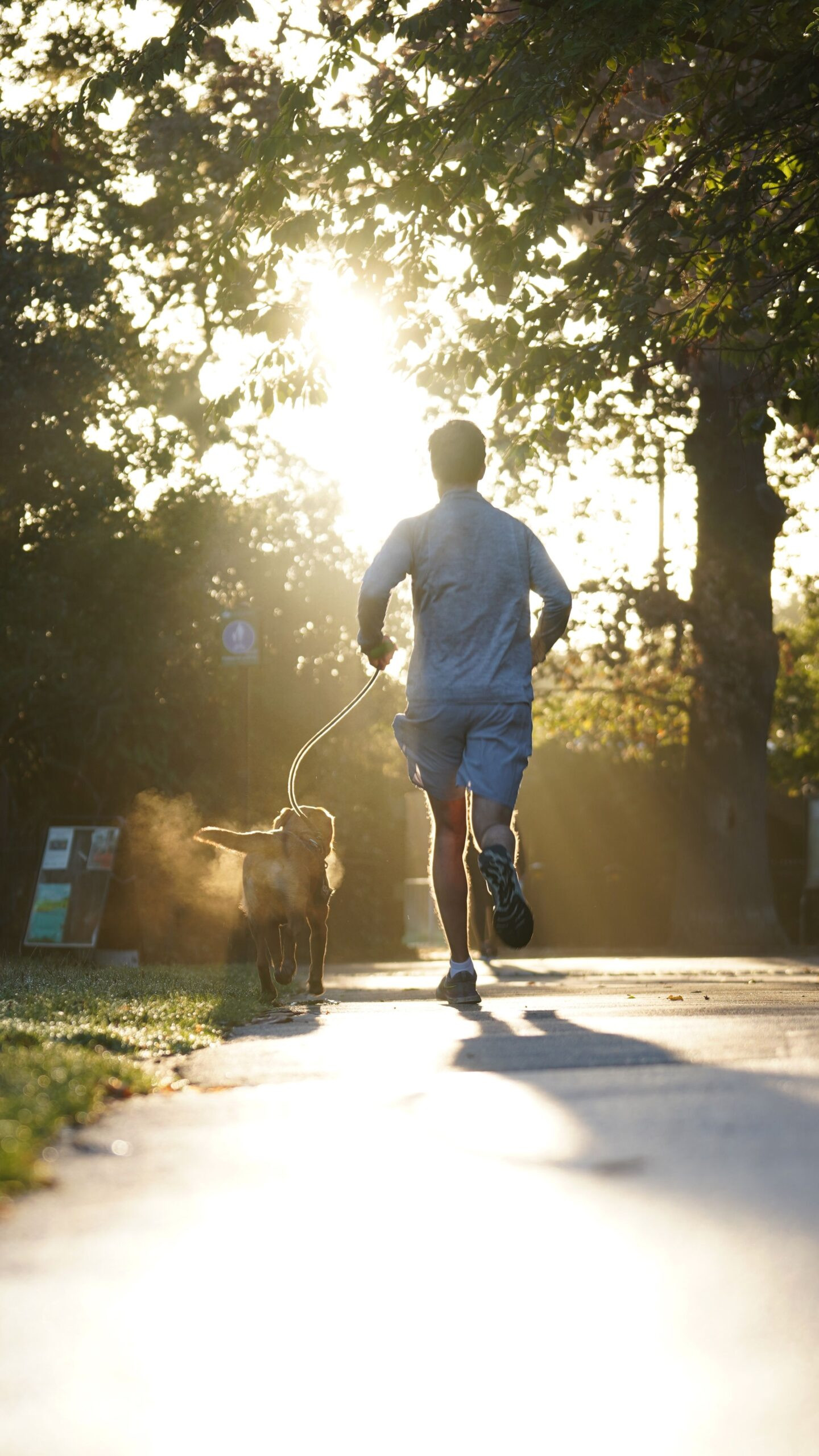 pexels-deanha-18447597